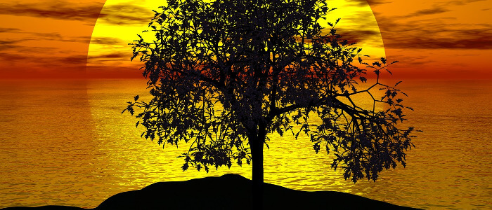夕日と木のイラスト